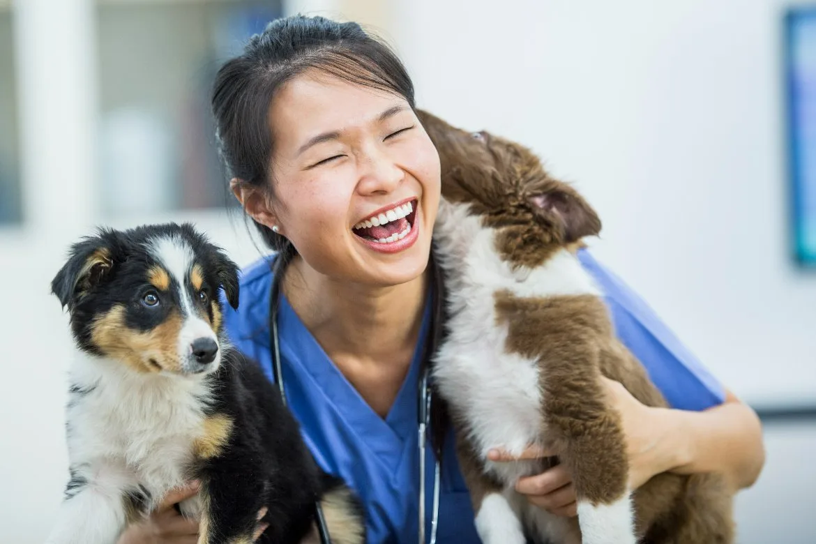 Vet tech playing with puppies